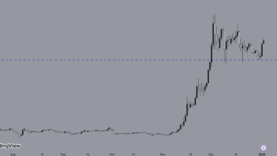 XRP Price USD Analysis: What History Can Teach Us About Its Future