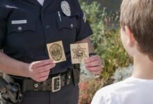 digital authority trust model