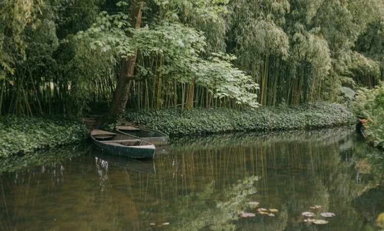 smart online revenue strategies