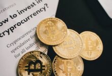 smart digital growth guide