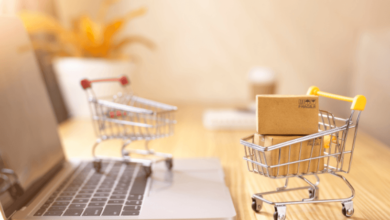 Dropshipping and E-Commerce Growth for Online Retailers